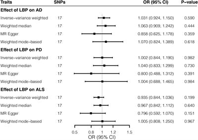 Joint Analysis of Genome-Wide Association Data Reveals No Genetic Correlations Between Low Back Pain and Neurodegenerative Diseases